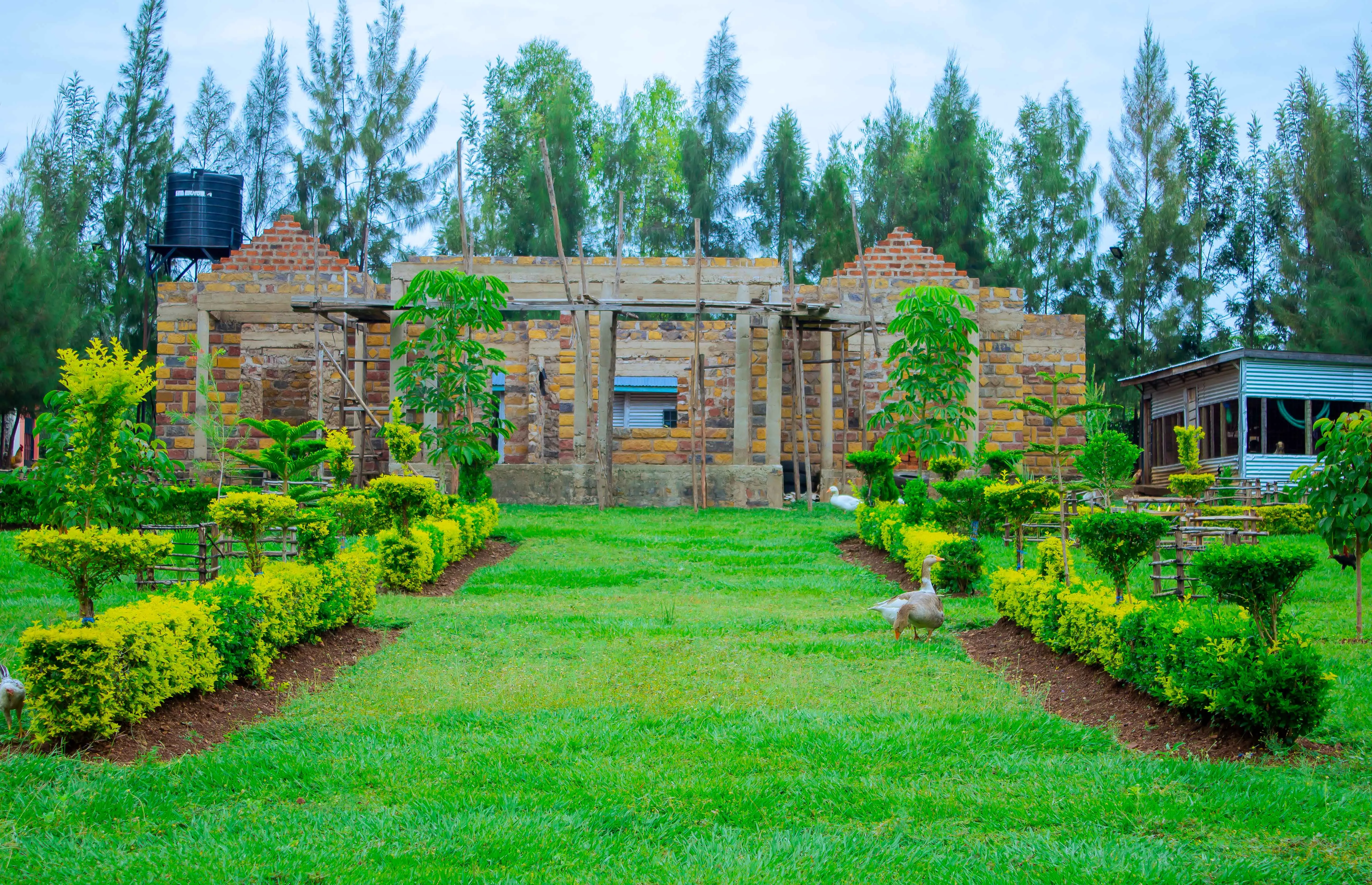 New Dormitory Project